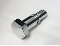 Image of Fork tube top bolt