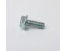 Cam chain guide blade setting plate retaining bolt