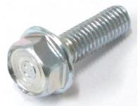 Image of Tappet cover screw