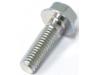 Image of Mirror retaining bolt