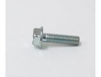 Image of Water pump cap retaining bolt