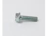 Water pump cap retaining bolt