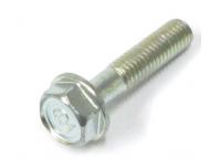 Image of Cylinder head cover retaining bolt