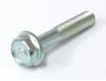 Oil pan retaining bolt