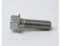 Image of Brake caliper retaining bolt
