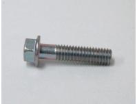 Image of Cam chain tensioner retaining bolt