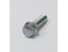 Image of Cam chain tensioner retaining bolt