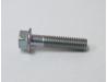 Cam chain tensioner retaining bolt