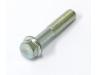 Generator cover screw