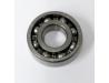 Gear box countershaft bearing