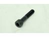 Handle bar end weight retaining screw