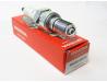 Spark plug NGK CR9EH9 (RG/RH/RRJ)